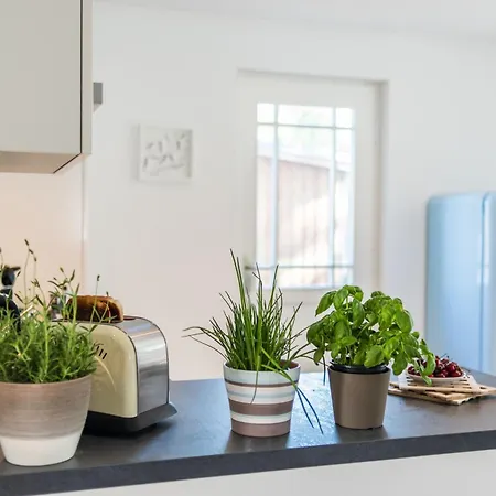 Bornhaus Fuer 7 Personen * Born